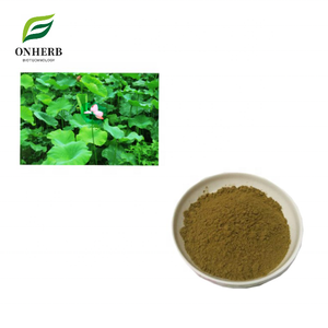 Pasokan Pabrik 100% Ekstrak <span class=keywords><strong>Folium</strong></span> <span class=keywords><strong>Nelumbinis</strong></span> Alami / Bubuk Ekstrak Daun Teratai - Product Image 1
