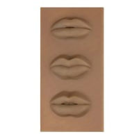 Peau d'entraînement souple en silicone de haute qualité pour studio de formation, 3 lèvres, 3 couleurs de peau, en gel de caoutchouc souple, pour microblading et semi-maquillage