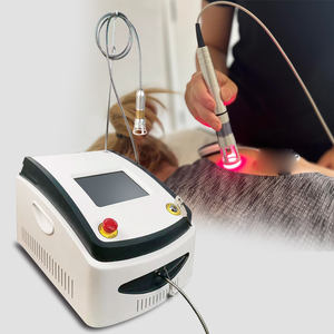 Máquina de <span class=keywords><strong>fisioterapia</strong></span> láser de diodo de 980nm de alta intensidad 60W <span class=keywords><strong>fisioterapia</strong></span> láser - Product Image 2