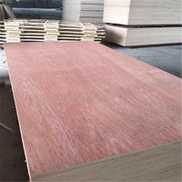 Panneau de coffrage en contreplaqué de peuplier commercial 1220x2440mm, 5-25mm, imperméable, de première qualité, pour la construction moderne