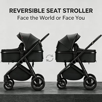 Carrito de Paseo para Niños, 2 en 1, Plegable, con Toldo, Asientos Extraíbles y Gran Espacio de Almacenamiento para Viajes