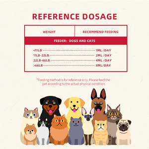 Gotas de Hierro Líquido Natural <span class=keywords><strong>y</strong></span> Vitamina B12 al por Mayor para Perros <span class=keywords><strong>y</strong></span> Gatos, Suplemento para Mascotas de Rápida Absorción que Apoya la Energía <span class=keywords><strong>y</strong></span> la <span class=keywords><strong>Salud</strong></span> Inmunológica - Product Image 6