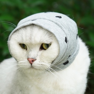 غطاء أذن مخصص للحيوانات الأليفة ، غطاء أذن للكلاب ، غطاء أذن للكلاب ، غطاء رأس للحد من الضوضاء ، غطاء رأس للكلاب لمنع الضوضاء - Product Image 5