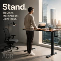 Bureau debout ergonomique AOR moderne en métal et fer, à moteur unique, durable, réglable, de luxe, pour usage commercial et domestique