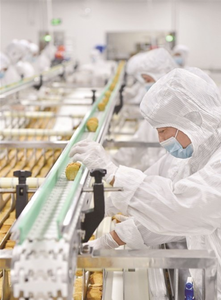 الأكثر مبيعًا رقائق البطاطس Layss الوجبات الخفيفة الغريبة وجبات عيد الميلاد وجبات خفيفة رقائق البطاطس اليابانية البيرة صفار البيض رقائق البطاطس بالجملة 70 جم - Product Image 6