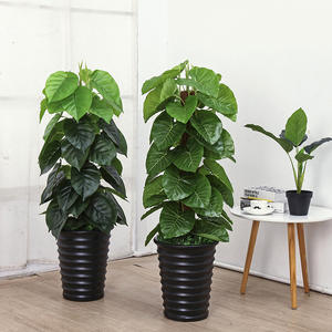 Grande plante d'intérieur <span class=keywords><strong>en</strong></span> <span class=keywords><strong>pot</strong></span>, bonsaï sur pied, décoration d'arbre artificiel <span class=keywords><strong>en</strong></span> plastique, <span class=keywords><strong>Arum</strong></span> Italicum (<span class=keywords><strong>Arum</strong></span> chinois) vert - Product Image 1