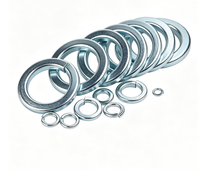 Spring Washer, Carbon Steel / Stainless Steel Split Lock Washer, Assorted Sizes for Bolt Screw Fastener