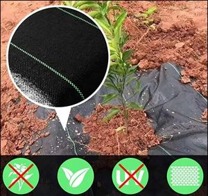 Toile de paillage anti-mauvaises herbes pour serre, non tissée, sans barrière, verte et blanche, en rouleaux pour l'agriculture - Product Image 6