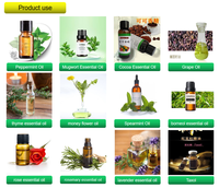 Équipement de distillation d'huiles essentielles à bas prix, 1 tonne, machine d'extraction d'huiles essentielles de CBD