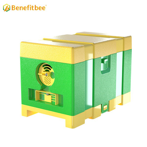 Vente en Gros : Ruches Mini en HDPE, Nouveaux Nids d'Abeilles pour l'Accouplement de Reines, Ruchettes à Vendre - Product Image 5