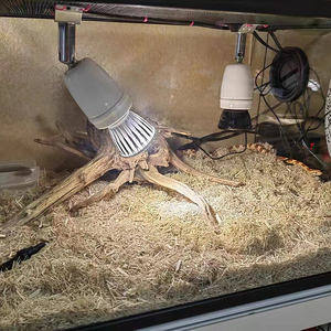Douille de lampe chauffante en céramique réglable pour reptiles avec interrupteur marche/arrêt, support de lampe E27 pour tortue, lézard, terrarium - Product Image 3
