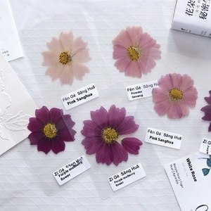 Marque-page de fleurs antiques fait à la main bricolage plantes décoratives matériel sac <span class=keywords><strong>fleur</strong></span> séchée outil pour étudiant spécimen de plante fait maison - Product Image 3