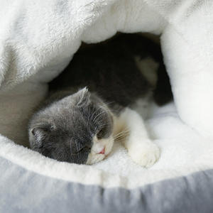 <span class=keywords><strong>Canapé</strong></span>-lit souple à fond antidérapant imperméable pour chiens de taille moyenne, chats et animaux domestiques - Product Image 3