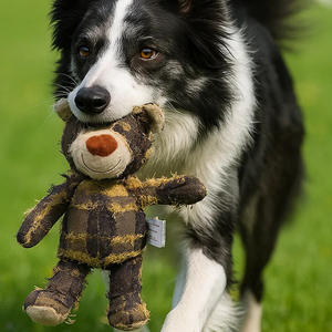 Juguete Ecológico para Perros, Oso Mendigo de Peluche, Juguete Interactivo para Masticar, en Existencia con Entrega Rápida - Product Image 3