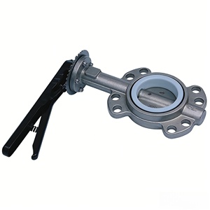 Válvula de Acero Inoxidable Gaobei con Mango de PTFE, PN10, Válvula de Lámina Revestida de Fluorinado Accionada por Manivela - Product Image 2
