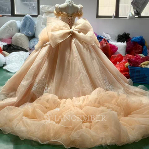 Robe de mariée élégante en organza style princesse française Xs242 Royal Lace avec traîne chapelle pour la mariée et la mère de la mariée - Product Image 5