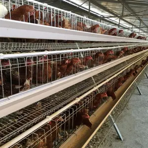 Nigeria Farm Use A Type Best Chicken Layer Cage Price