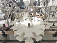 Ligne de production de machines de remplissage et de bouchage automatiques pour détergent à lessive, savon à vaisselle, pâte à vaisselle, gel