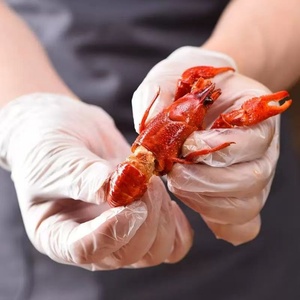 ถุงมือไวนิลใสแบบใช้แล้วทิ้งสำหรับโรงงาน อาหาร ทำผม ครัว สัก ร้านเสริมสวย - Product Image 3