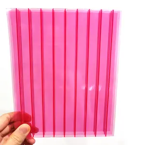 China Fabriek 8Mm 10Mm Dikte Roze Rode Multiwall Polycarbonaat Holle Plaat Voor Weergave En Teken
