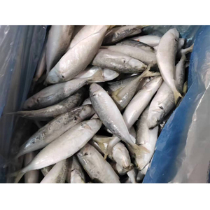 냉동 물고기 큰 눈 말 고등어 500-900gr 새로운 말 고등어 가격 냉동 말 고등어 판매 - Product Image 5