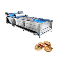 Machine de nettoyage automatique multifonctionnelle pour champignons comestibles, légumes et fruits (lychees) avec technologie à bulles, garantie 1 an