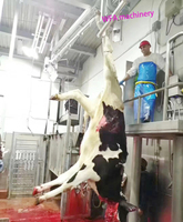Abattoir de vaches, équipement de boucherie, machine d'abattage, abattage de bovins