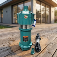 Pompe submersible multi-étages immergée dans l'huile, haute pression, grand débit, 220V, pour puits, en acier inoxydable, contrôle entièrement automatique