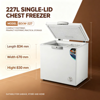 Congélateur coffre à porte unique de 227 L, dégivrage manuel, électrique, haute efficacité, homologué CE CB, congélation profonde, usage commercial et domestique