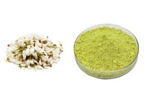 Estratto di Sophora Japonica naturale In Polvere <span class=keywords><strong>Quercetina</strong></span> 98% - Product Image 4