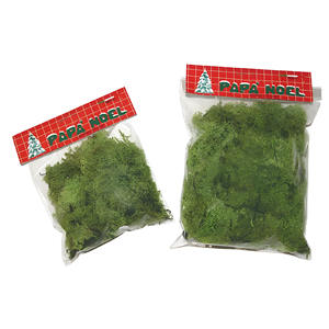LICHEN 50GR - Product Image 1