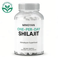 Capsules de Shilajit Pur pour l'Énergie et la Vitalité – Complément Minéral Naturel à l'Acide Fulvique – Soutien à la Santé Masculine et au Bien-être