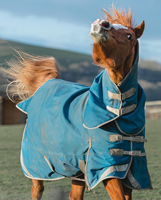 Couverture d'hiver pour cheval Elite Stable, imperméable, anti-déchirure, 1200D, respirante, 350g, chaude et économique
