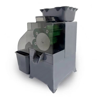 Presse-agrumes commercial pour citrons et kumquats, entièrement automatique, multifonctionnel, extracteur de jus de fruits avec filtre en acier inoxydable, 110V/220V