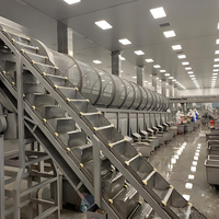 Milieuvriendelijke multifunctionele 304 roestvrijstalen conservenmachine voor de productielijn van gemengde fruitcocktails met motor en pomp