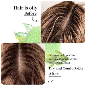 Shampoo Solido Naturale a Base di Erbe per <span class=keywords><strong>Capelli</strong></span> Ricci e Voluminosi, Controllo dell'Oleosità e della Forfora, Integratore di Vitamina C - Product Image 2