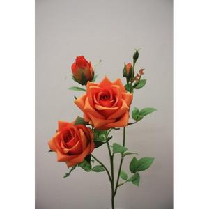 โรซ่า สเปรย์ X4 65 ซม. หรือ - Product Image 1