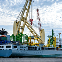 Grue marine sur mesure de 5, 10, 15, 20, 30, 50 tonnes pour le levage de cargaisons, grue de pont marine avec système hydraulique pour l'installation sur navires