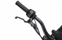 Vélo tout-terrain électrique 2025 Ventus One Plus V1+ avec moteur central et frein à disque 28KW 72V pour adultes - En promotion