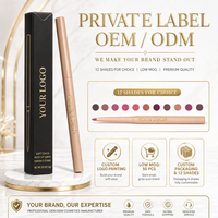 Crayon à lèvres sans logo, petite production, anti-transfert, waterproof, longue tenue, fini mat nude, certifié CE et MSDS