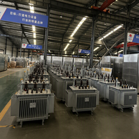 Transformateur de puissance principal PENGTAI 500 kVA triphasé 50/60 Hz entièrement étanche immergé dans l'huile à deux enroulements, sortie 480 V