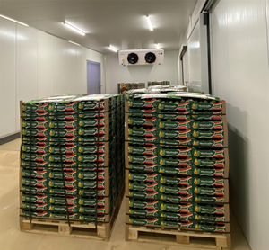 <span class=keywords><strong>ตู้</strong></span>แช่ไอศครีมอุปกรณ์สำหรับทำผักสดอุปกรณ์เพาะเห็ด - Product Image 3