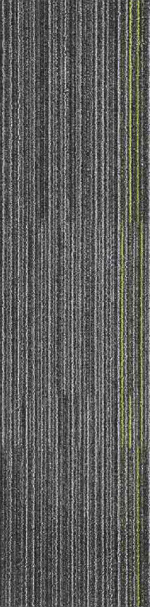 Gris7