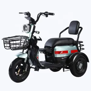Chinois fournisseur vend nouveau trois-roue vélo électrique 600W moteur Haute qualité 3 trois roues vélo électrique