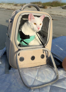 Sac à dos de transport pour animaux de compagnie OEM, sac à dos à bulles pour petits chiens, chats, chiots, pour les voyages en plein air, la randonnée et la marche - Product Image 6