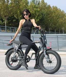 California Warehouse ZX 20 pulgadas Fat Tire City E-bike 750W/1500W Bicicleta eléctrica urbana Retro Faro Ebike 73 en venta - Product Image 5