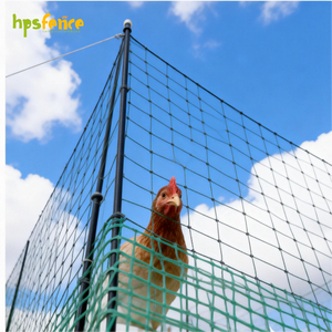 Recinzione Portatile Ecologica per Fattoria con Design Unico della Porta, Kit Rete per Polli con Pali in Fibra di Vetro - Product Image 1