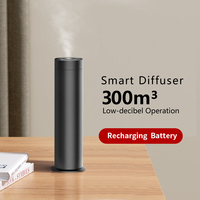Diffuseur d'arômes métallique sans eau OEM, rechargeable USB, pulvérisateur de parfum automatique, usage domestique et commercial, style INS, parfum de qualité supérieure