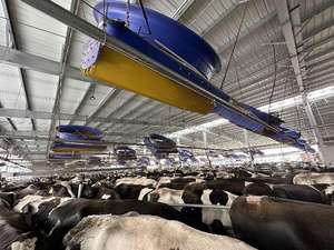 Ventilador Industrial para Establos <span class=keywords><strong>de</strong></span> Ganado, <span class=keywords><strong>Precio</strong></span> <span class=keywords><strong>de</strong></span> Fábrica, Ventilador Industrial para Granjas Agrícolas - Product Image 5