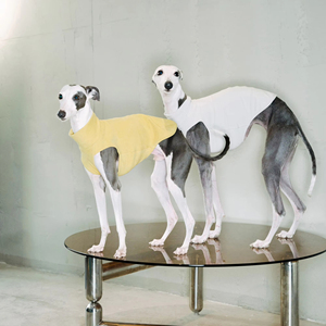 Chaleco de protección del vientre elástico cálido antiestático ecológico para galgos pequeños Bichons-Ropa para mascotas para perros de Año Nuevo - Product Image 4